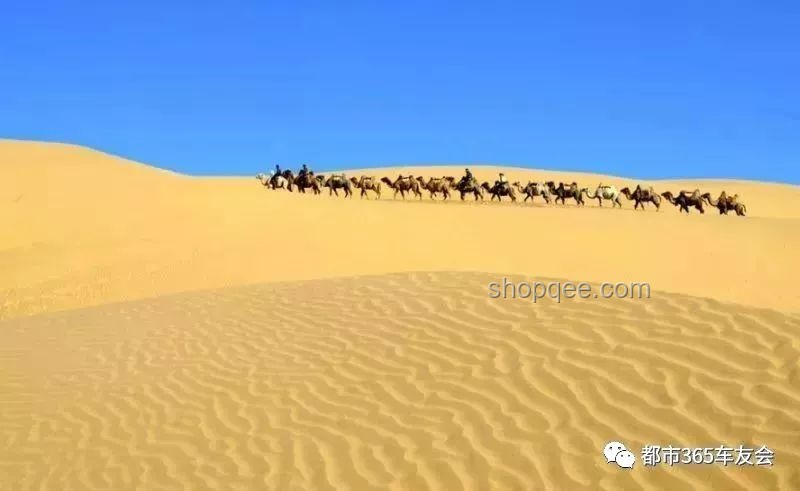 穿越沙漠：青春旅行團11見證罕見美景的深度解析