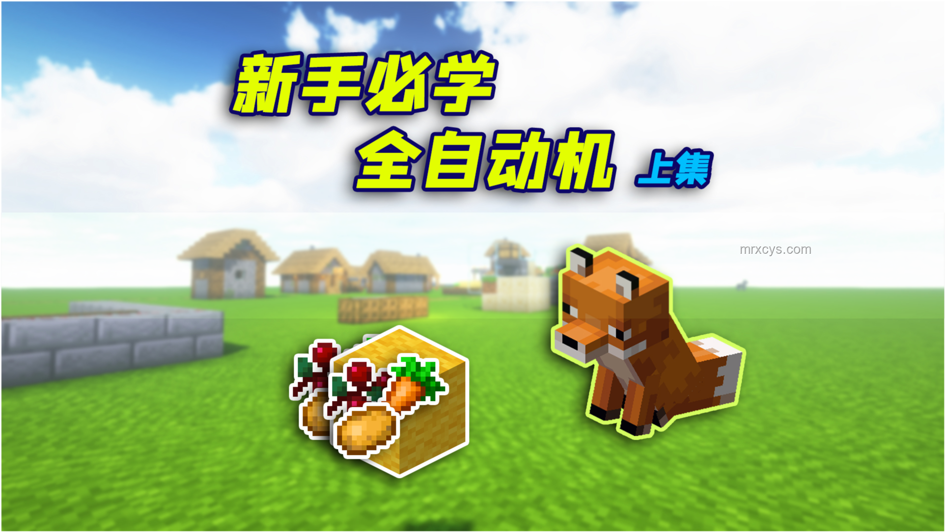 在全是網(wǎng)格的世界，我學(xué)會(huì)了編織生存的智慧網(wǎng)???
