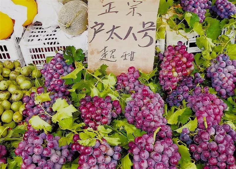 如何辨別網(wǎng)絡(luò)圖片真?zhèn)危阂浴皥蠖骼笾洹睘槔? title=