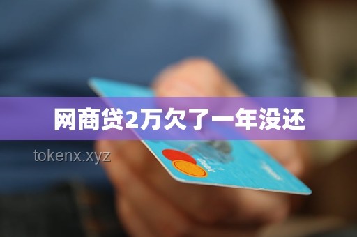 男子貸20萬還2800萬后還欠470萬：債務危機解決方案