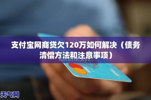男子貸20萬還2800萬后還欠470萬：債務危機解決方案