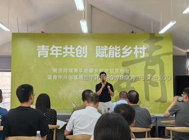 2025村兩委換屆新思維：跨界選人，重塑鄉村治理