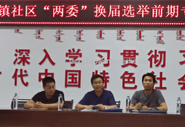 2025村兩委換屆新思維：跨界選人，重塑鄉村治理