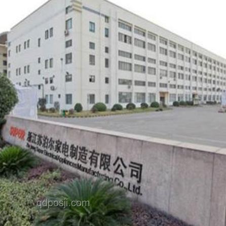 國貨小家電滿足特定需求案例研究：精準與創新