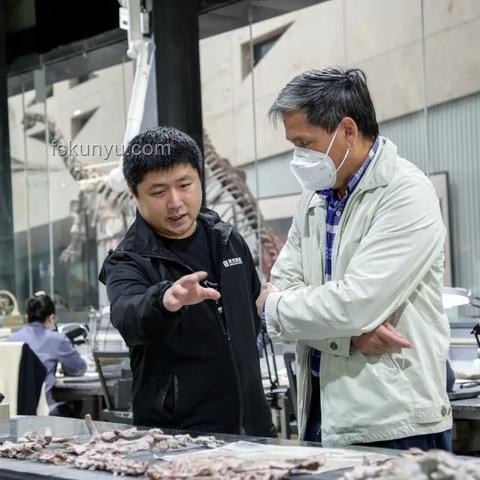 上海博物館文創(chuàng)爭(zhēng)議：歷史敬畏與未來(lái)文創(chuàng)趨勢(shì)