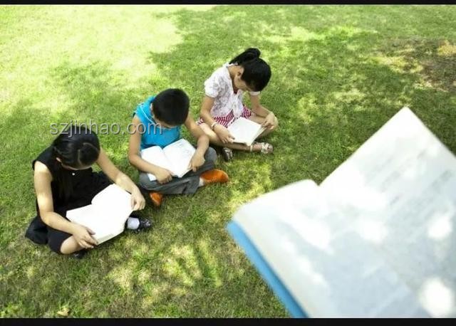 旅游與看書：休閑方式的深度對比