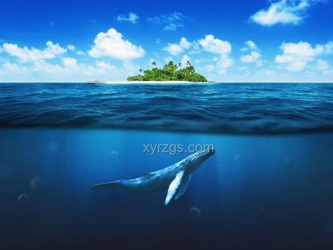 《鯨落全貌展望》：一鯨落，萬物生，深海生態(tài)新紀(jì)元
