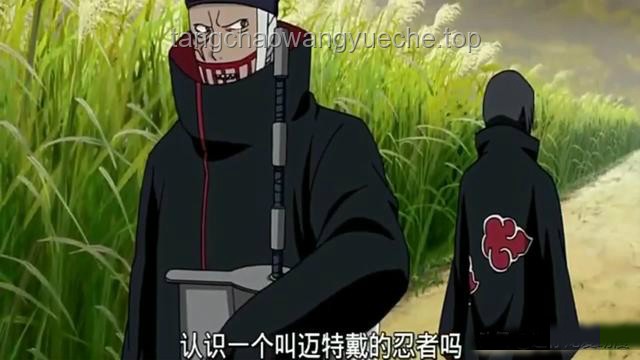 小痞鼬神曉組織新成員加入解析