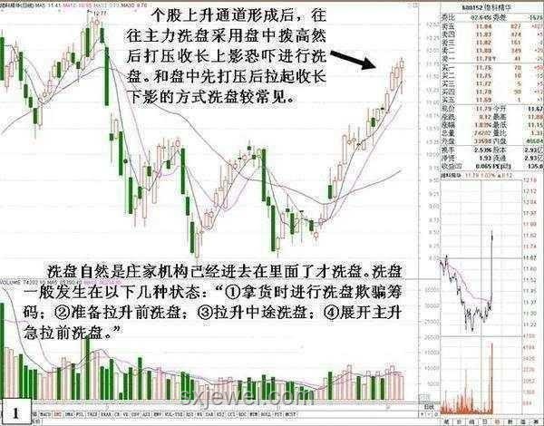 獨力復興溪流鱖魚：種群恢復與漁業新趨勢預測