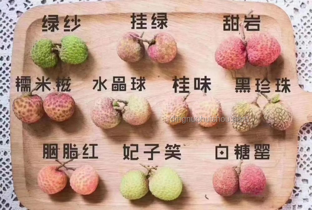 “荔枝尸體”誤解解決方案：科學認識荔枝，安心享受兩廣美味