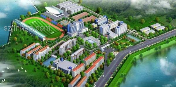 《校區太大的痛》：黃強強視角下的校園生活挑戰分析