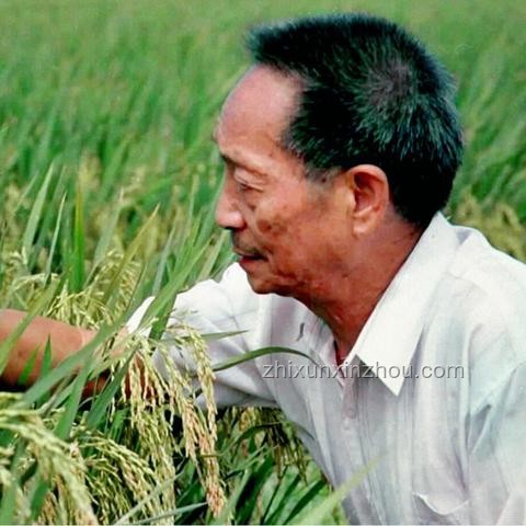 印度地理條件對農業影響的深度洞察