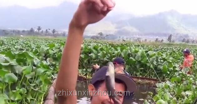 高溫天奇招！男子往魚塘放冰塊為魚兒降溫??