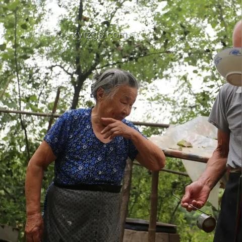 河南等地“晝夜蒸煮”，極端高溫天氣深度分析