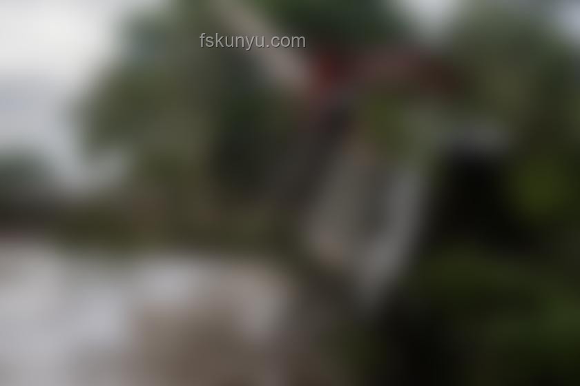 美國(guó)國(guó)務(wù)院裁員前后對(duì)比分析