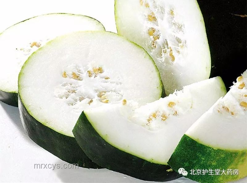 抱著冬瓜睡覺走紅案例研究：清涼原理與適用人群分析