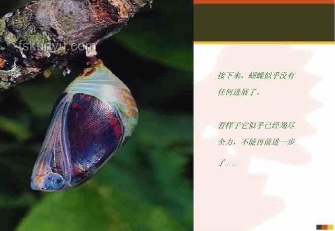 再一次又一次前進(jìn)吧，失敗者：逆境中的成長(zhǎng)與蛻變策略