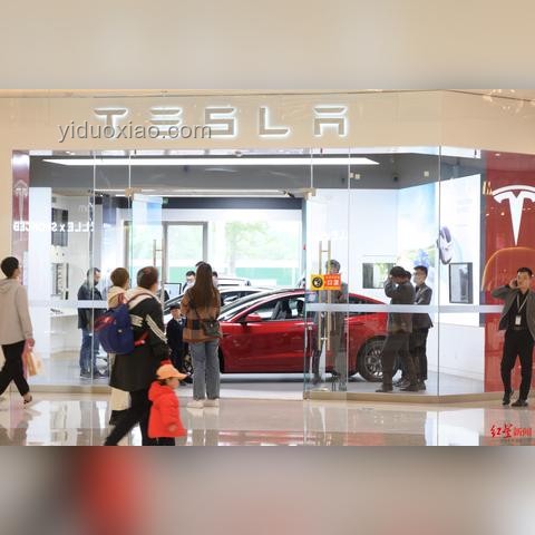 特斯拉車頂維權案啟示：合法維權與品牌保護策略