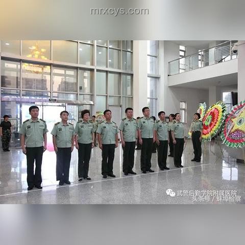 護(hù)士遇害案反思：生前日記曝光下的家庭暴力預(yù)防新趨勢(shì)