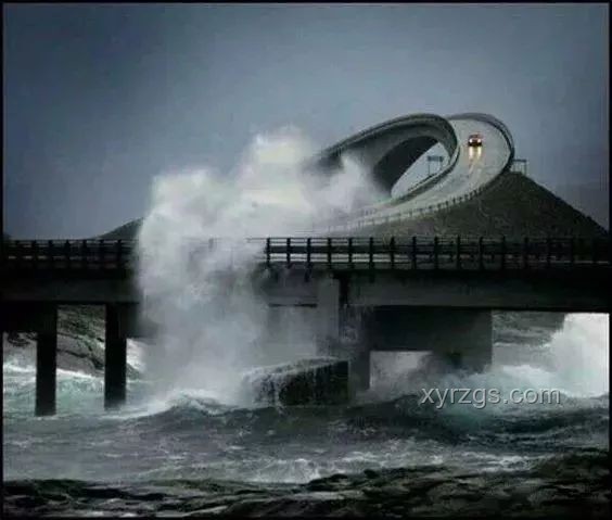 當地再通報洪崖洞攬客拍照糾紛：透視旅游市場亂象與監管升級