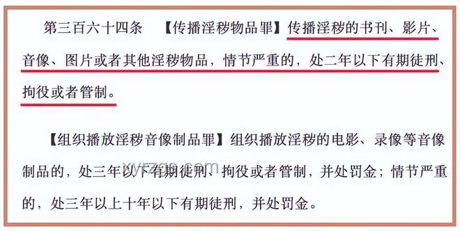 小飯店視頻被罰45萬爭議案，探究處罰依據與合理性